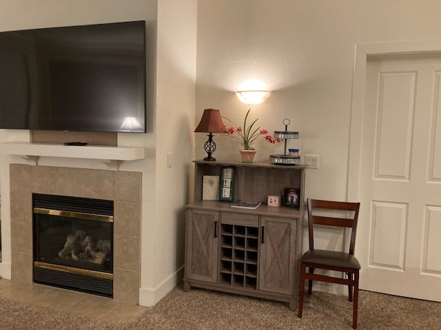 H3 Fireplace and TV (1)